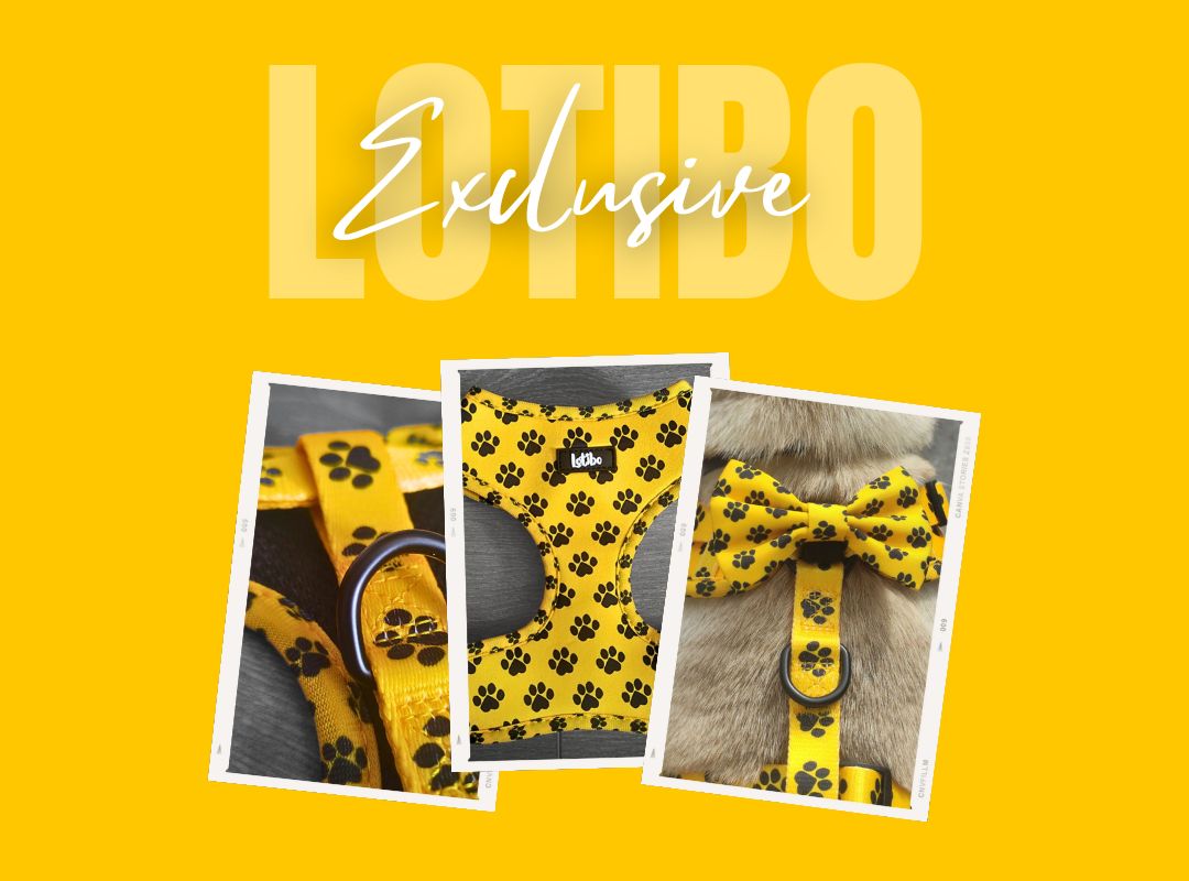 Lotibo Print Collection