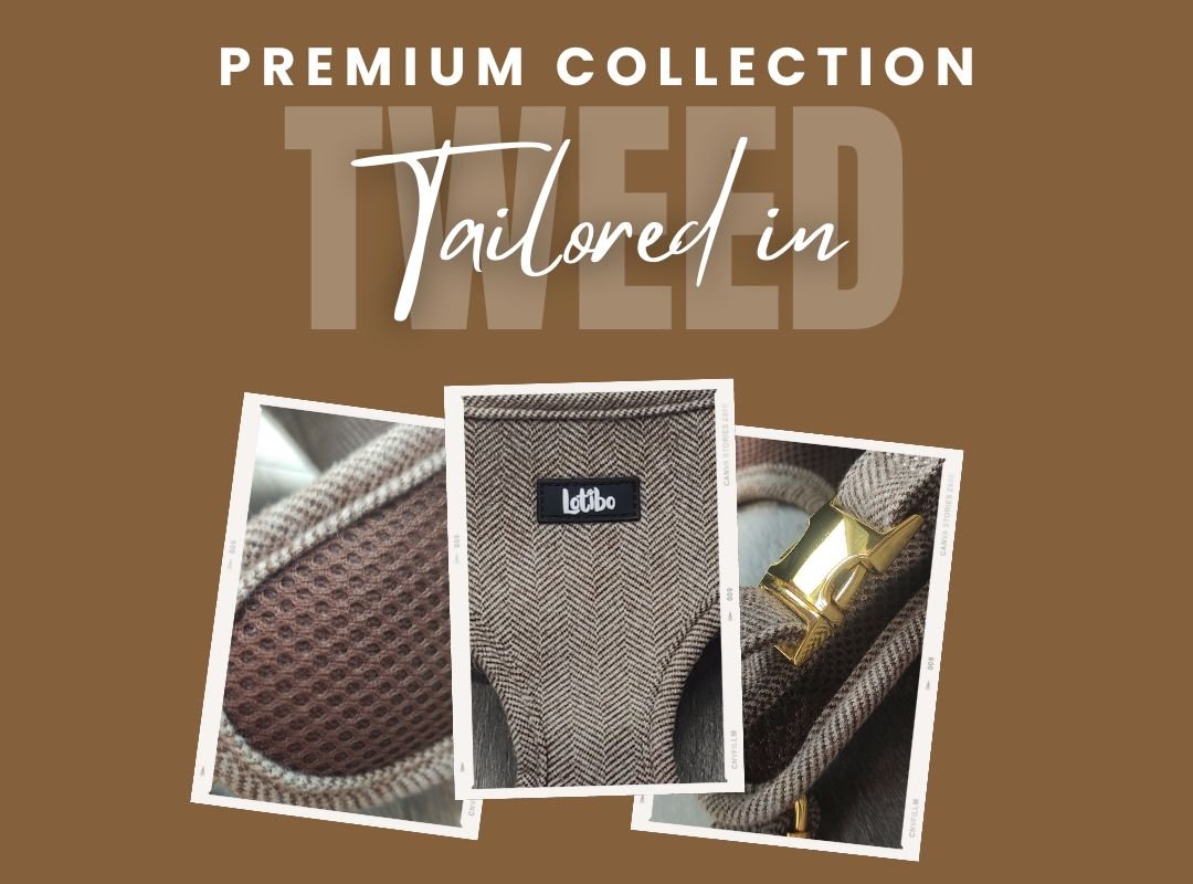 Tailored in Tweed