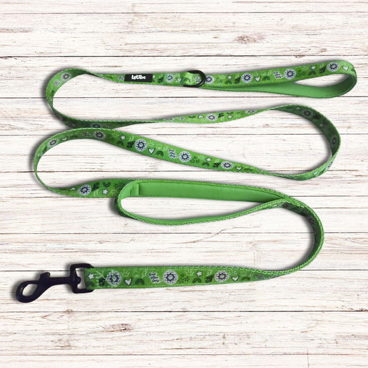 Green Doodle Lead