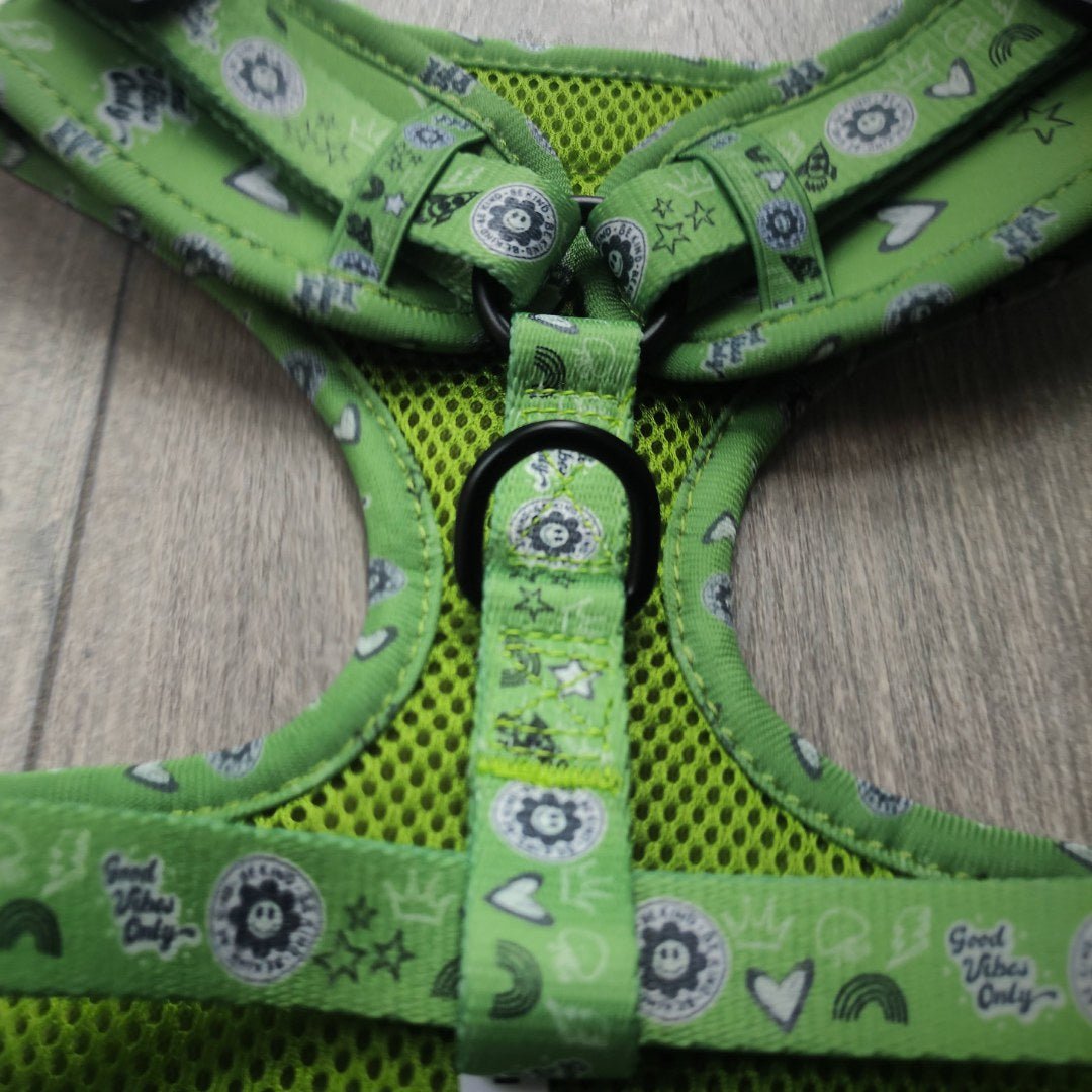 Green Doodle Harness