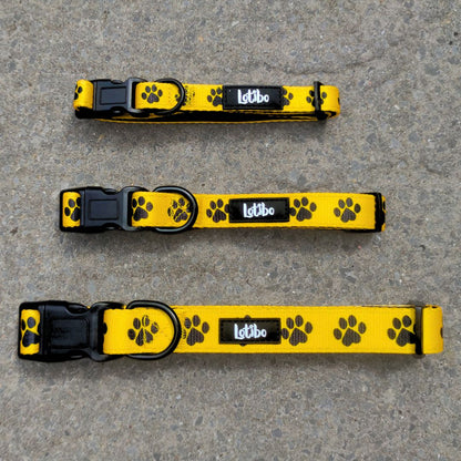 Paw Print Collar - Small, Medium and Large