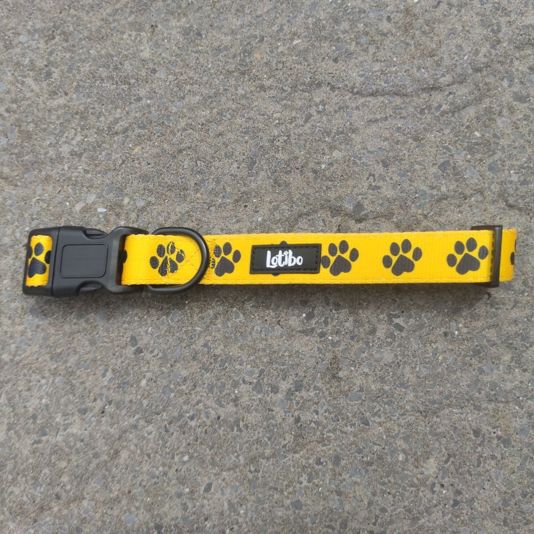 Paw Print Lotibo Dog Collar