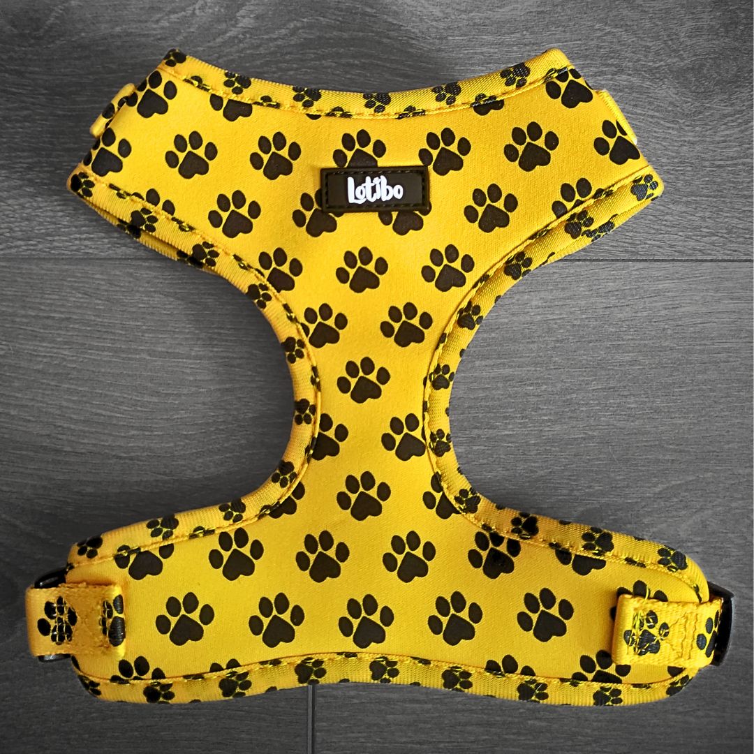 Paw Print Harness: Soft Neoprene with Breathable Mesh Padding lining ...