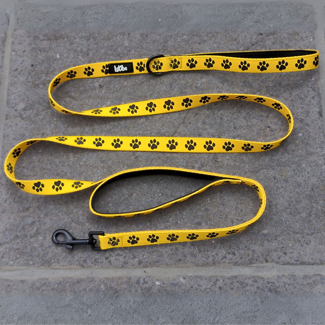 Paw Print Lead