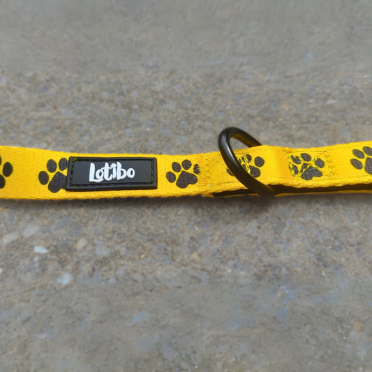 Paw Print Lead