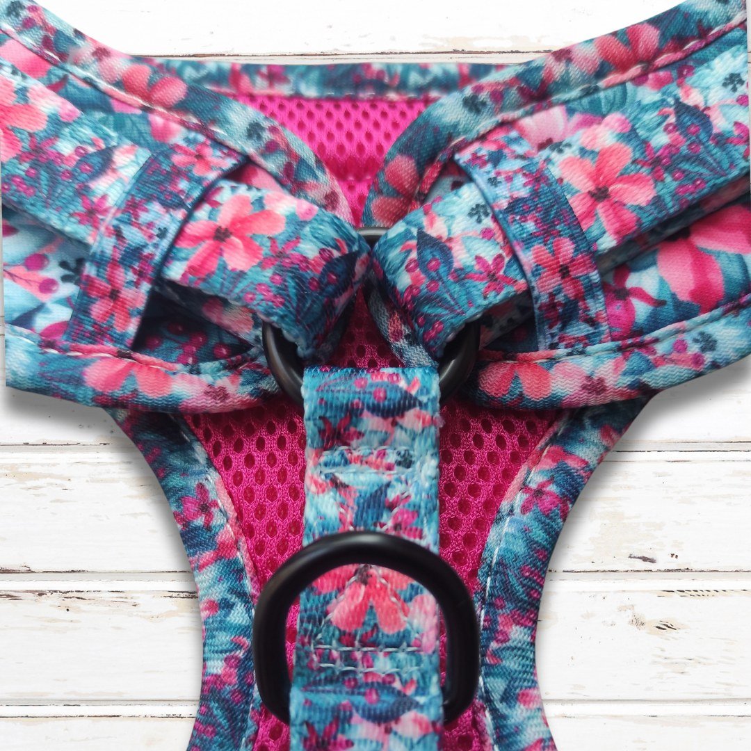 Pink & Blue Floral Harness